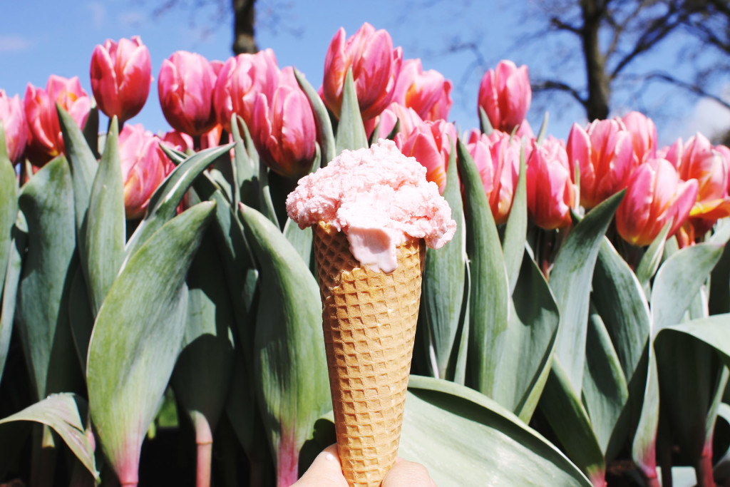 STYLEAT30 Travel + Fashion Blog - Keukenhof Gardens and Tulip Fields Tour from Amsterdam - Holland Tulips - 02