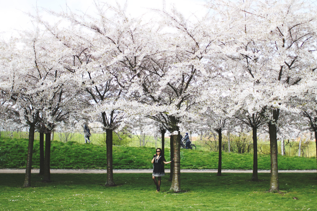 STYLEAT30 Travel Blog - Copenhagen Sakura Festival - Cherry Blossoms Denmark - 05