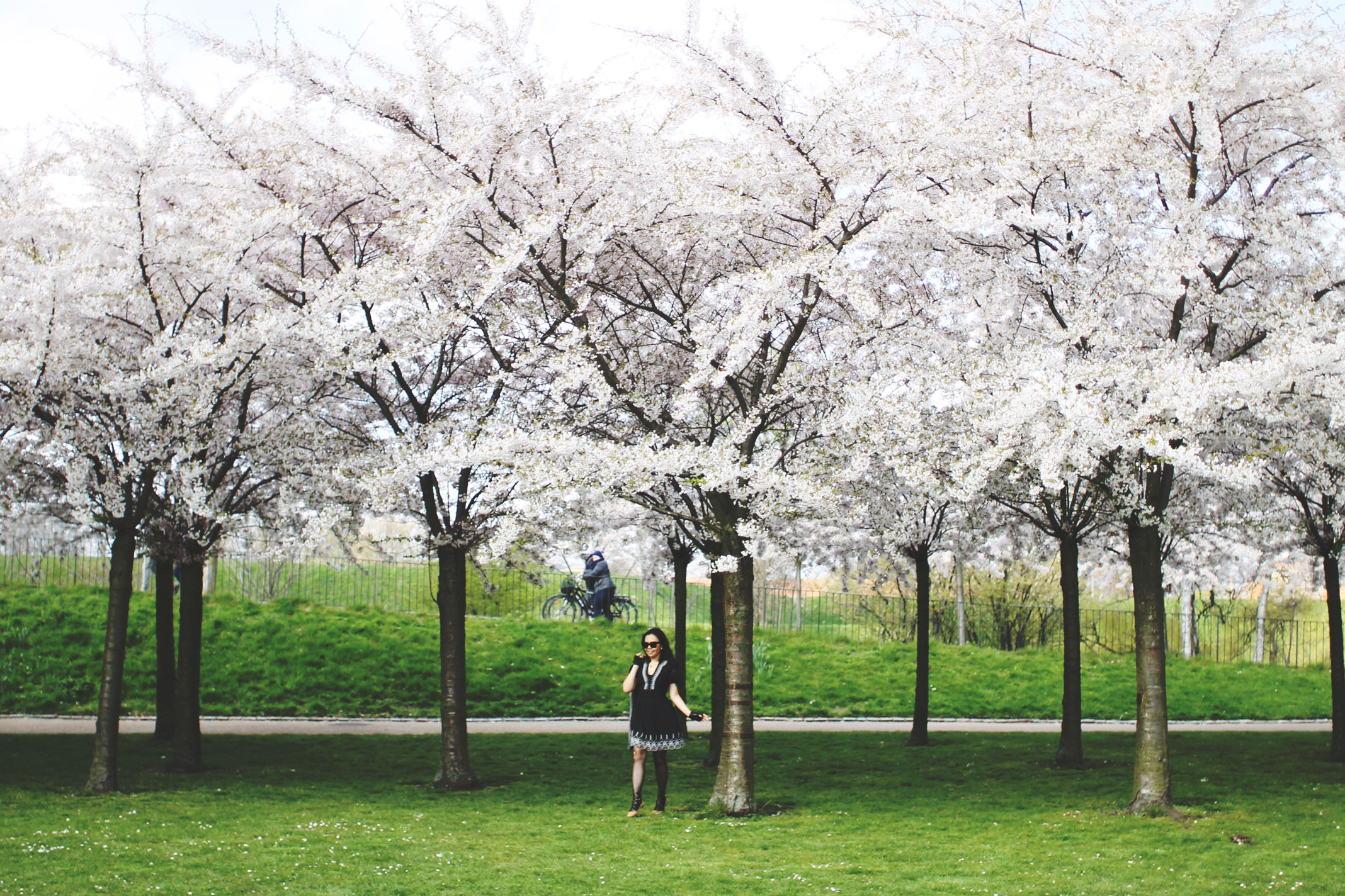 STYLEAT30 Travel Blog - Copenhagen Sakura Festival - Cherry Blossoms Denmark - 06