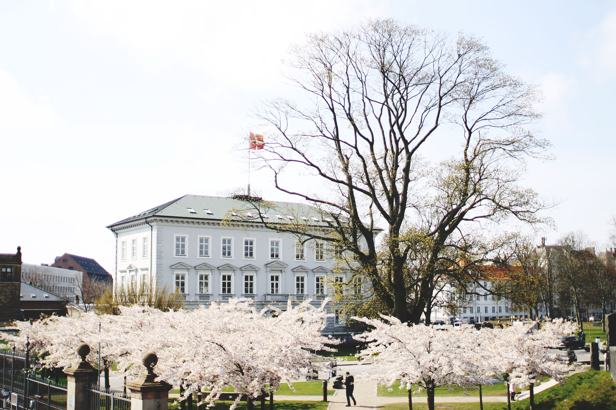 STYLEAT30 Travel Blog - Copenhagen Sakura Festival - Cherry Blossoms Denmark - 15