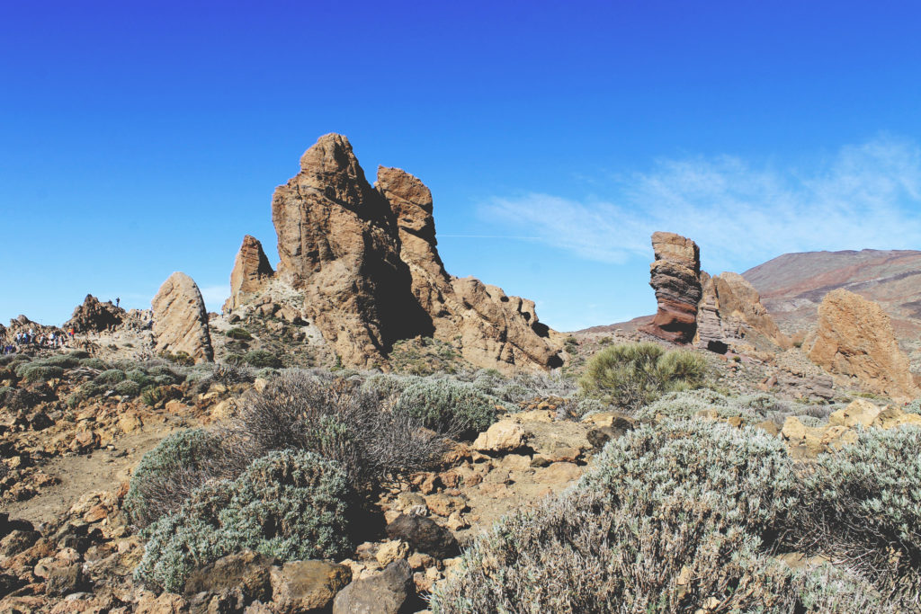 Styleat30 Travel - Teide Volcano in the Canary Islands - Teide National Park 22
