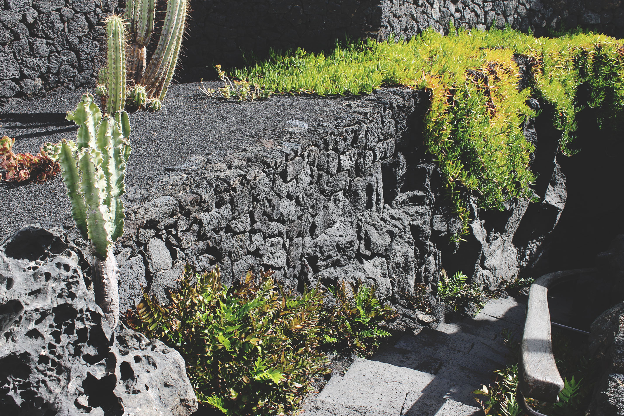 Lanzarote Guides - Cesar Manrique Foundation House Museum 01