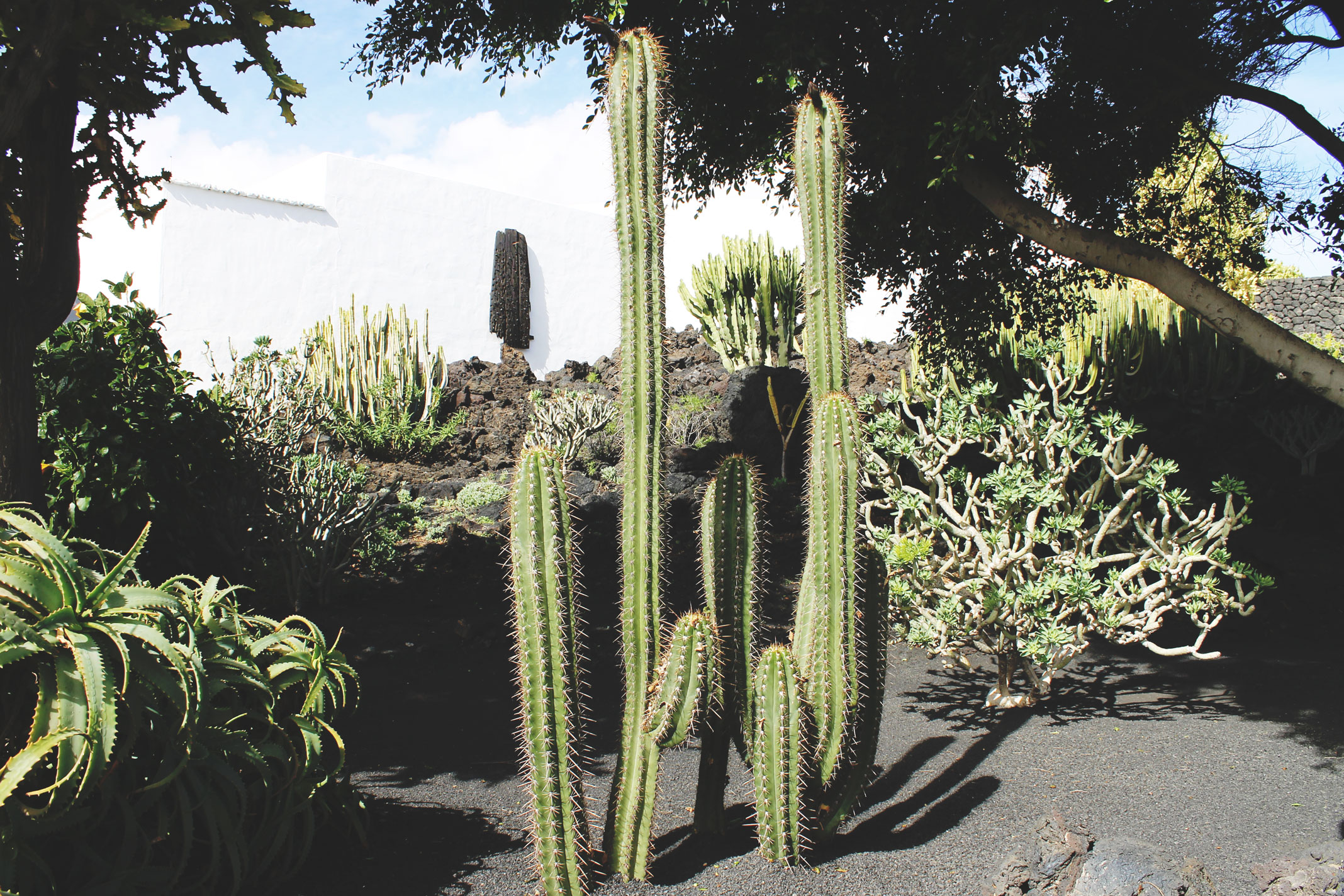 Lanzarote Guides - Cesar Manrique Foundation House Museum 10