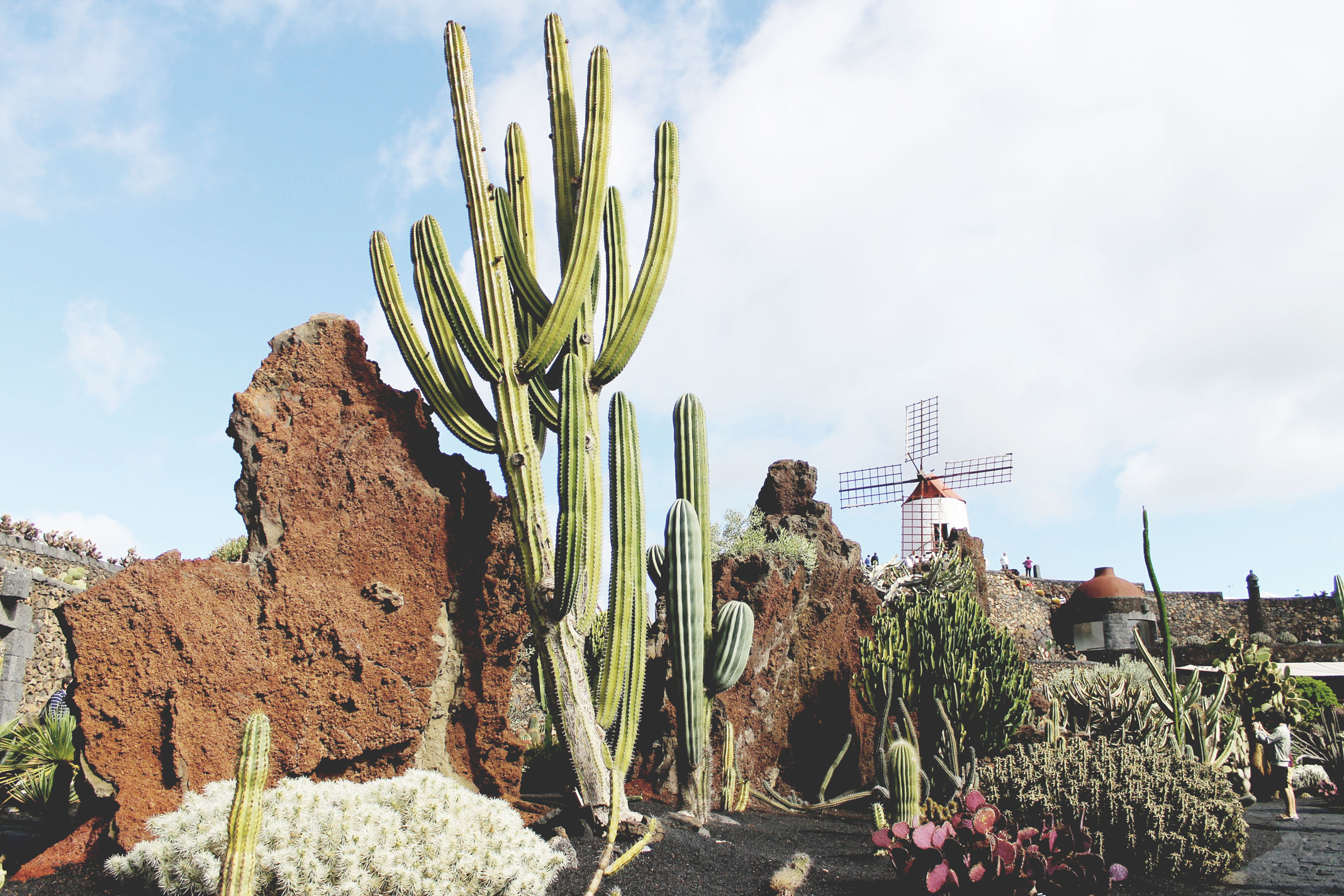 Lanzarote Guides - Cesar Manrique - Jardin de Cactus - Excursions Lanzarote Canary Islands Travel 01