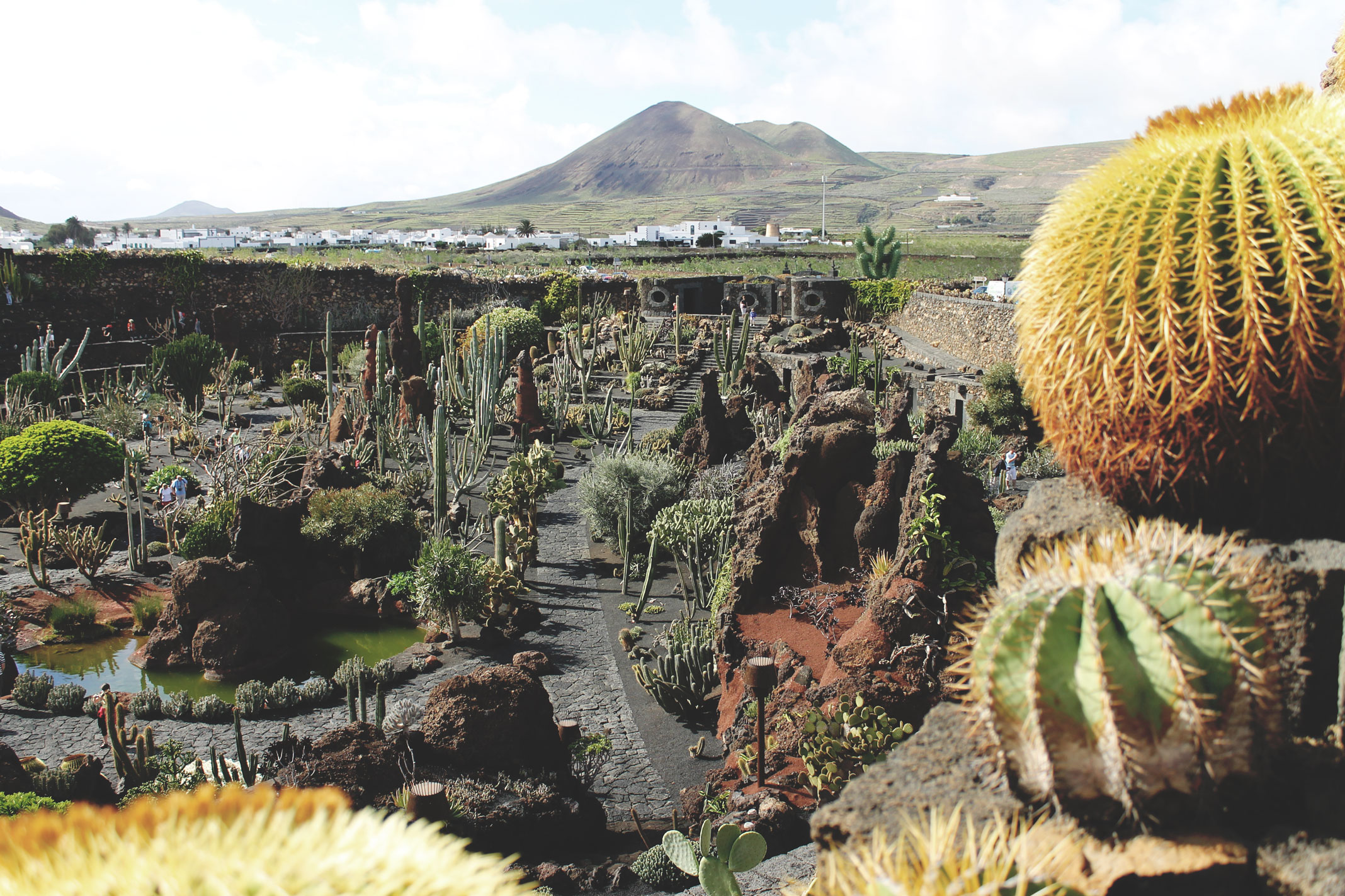 Lanzarote Guides - Cesar Manrique - Jardin de Cactus - Excursions Lanzarote Canary Islands Travel 04