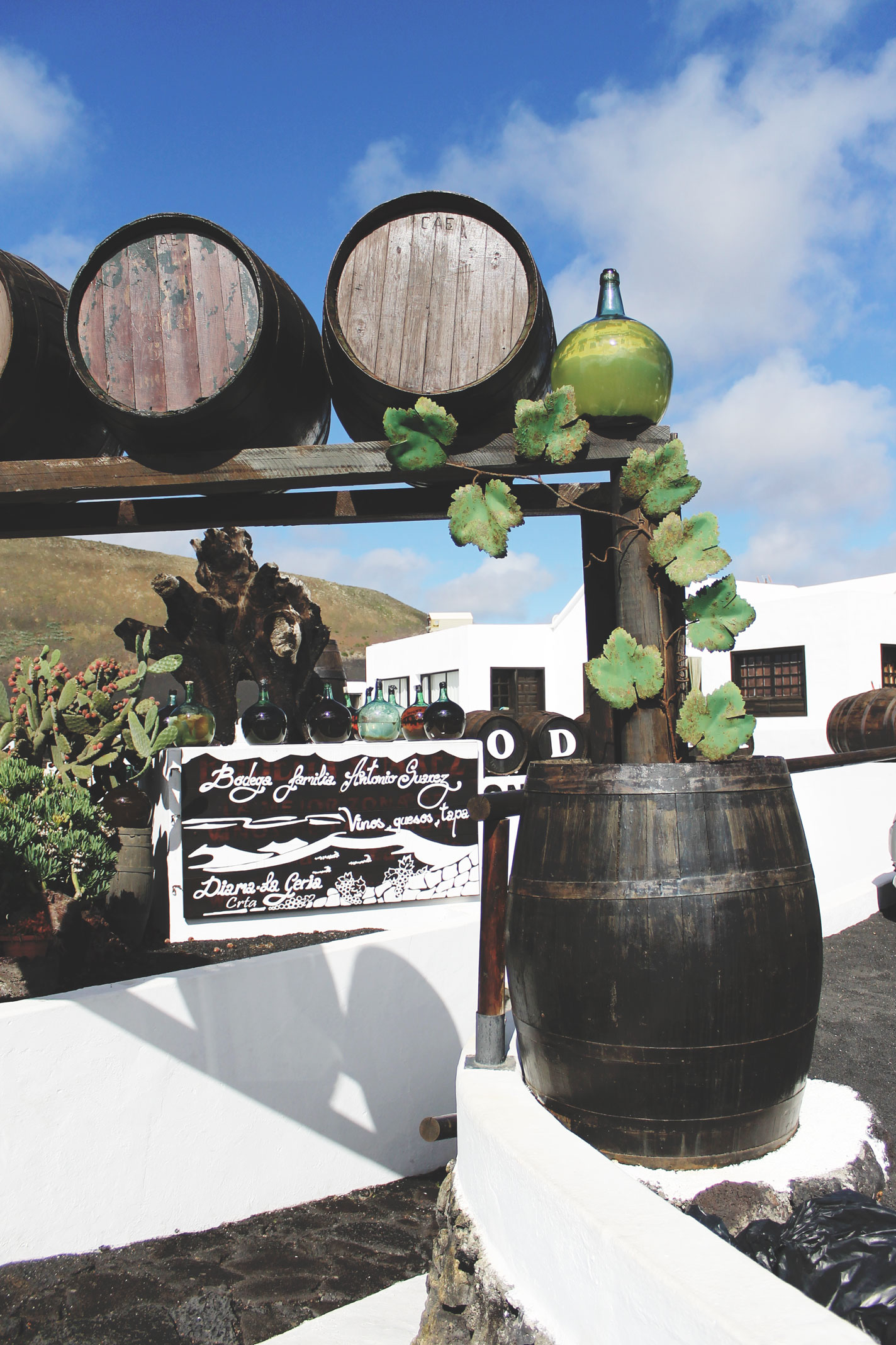 The Wine Valley of La Geria - Lanzarote, Spain Travel 02